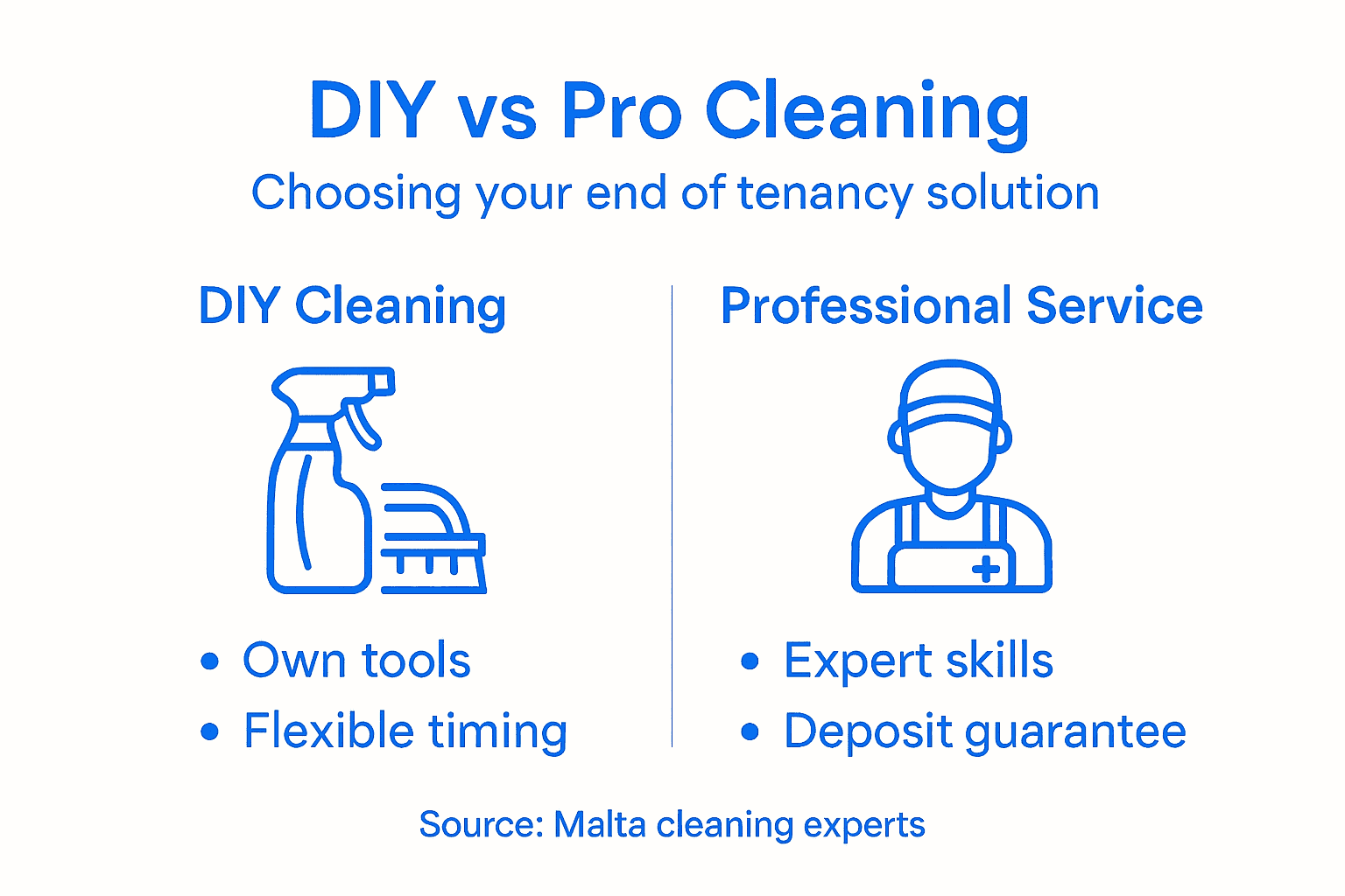 DIY versus professional cleaning infographic