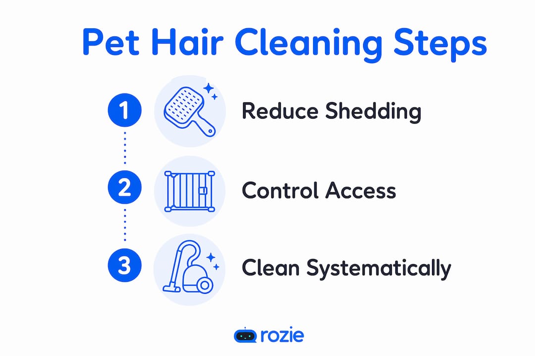 Infographic of step-by-step pet hair cleaning routine