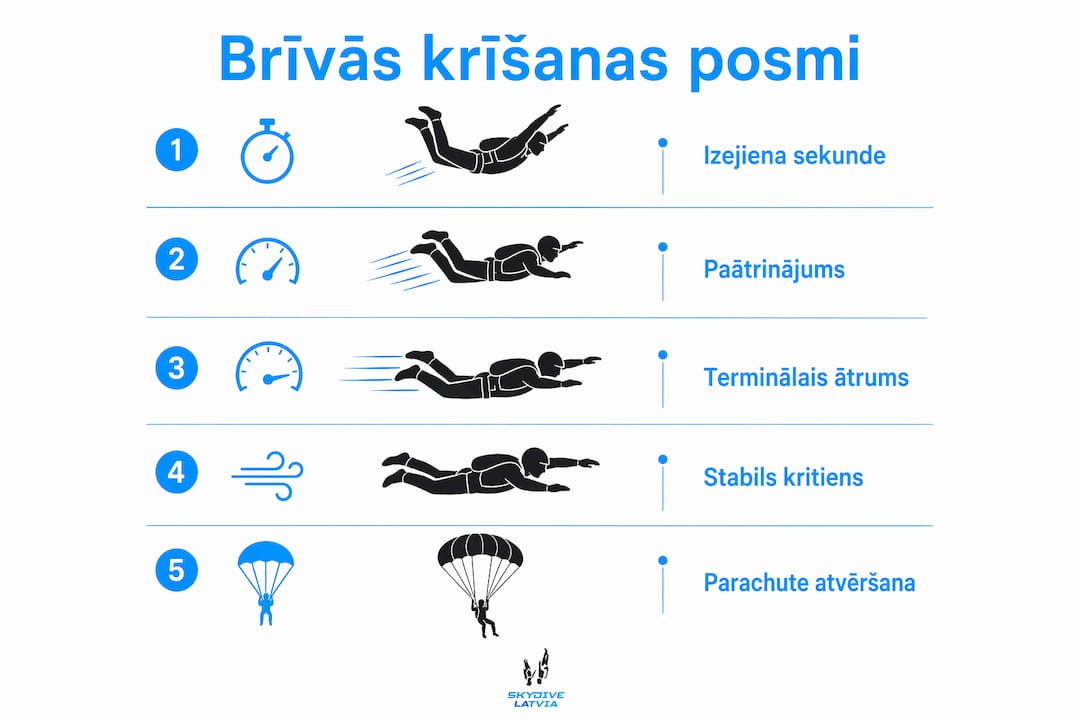 Infografika: brīvās krišanas izjūtu posmi