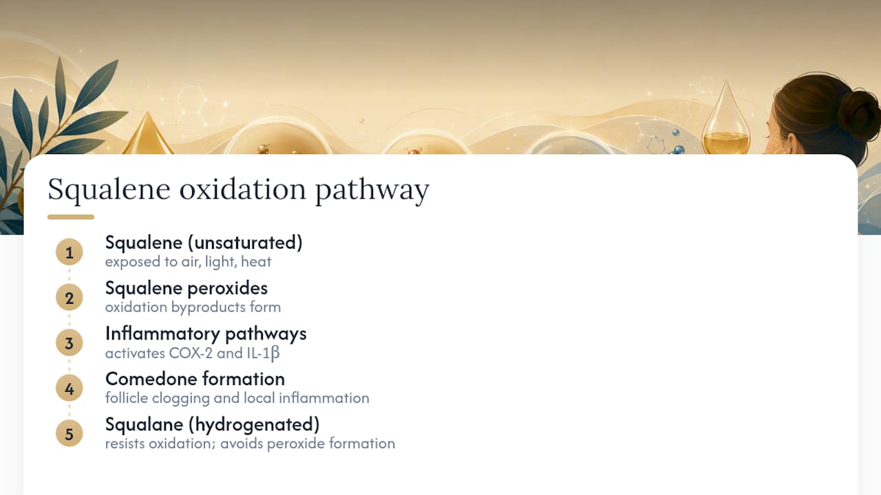 Squalene oxidation and inflammation pathway