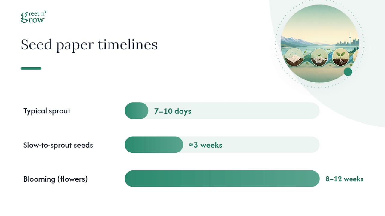 How do you plant seed paper, and how long does it take to sprout? — overview diagram
