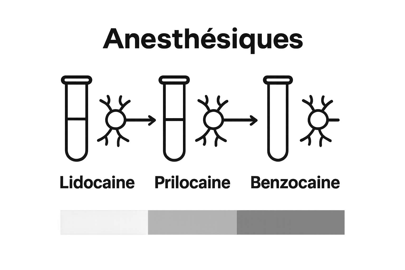 Icons comparing Lidocaïne, Prilocaïne, Benzocaïne effects