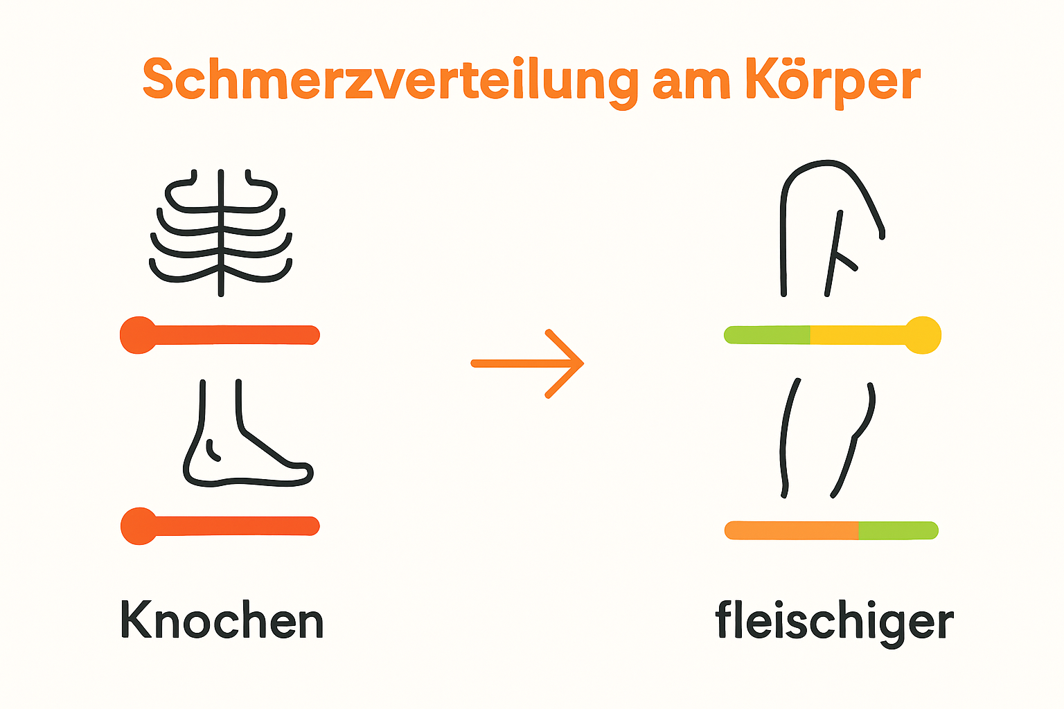Infografik mit empfindlichen und schmerzarmen Körperstellen für Tattoos