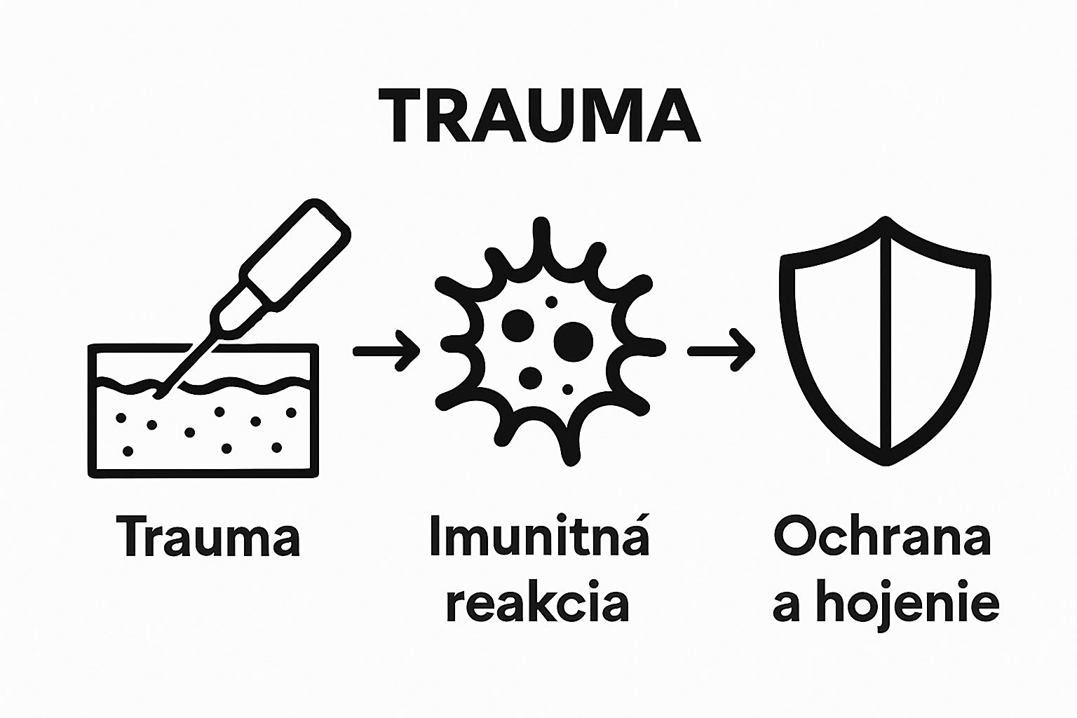 Infographic showing tattoo needle, immune cell response, and healing shield
