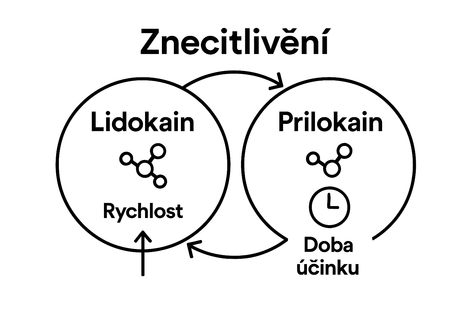 Vizualizace hlavních složek anestetického krému