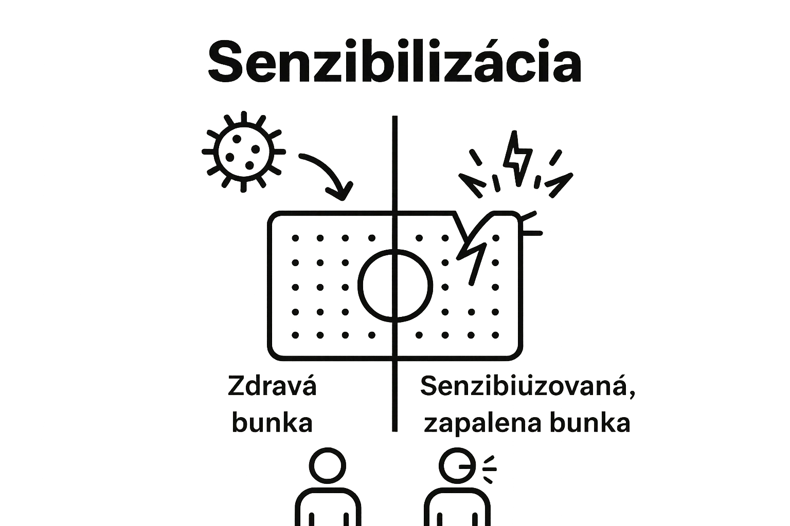 Comparison of normal and sensitized skin response