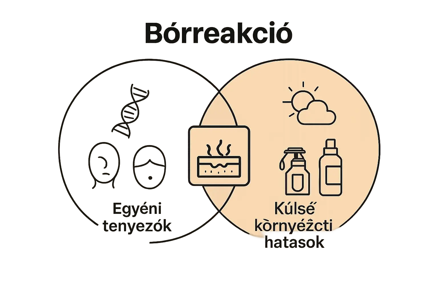 Venn diagram showing individual and environmental factors influencing skin reactions