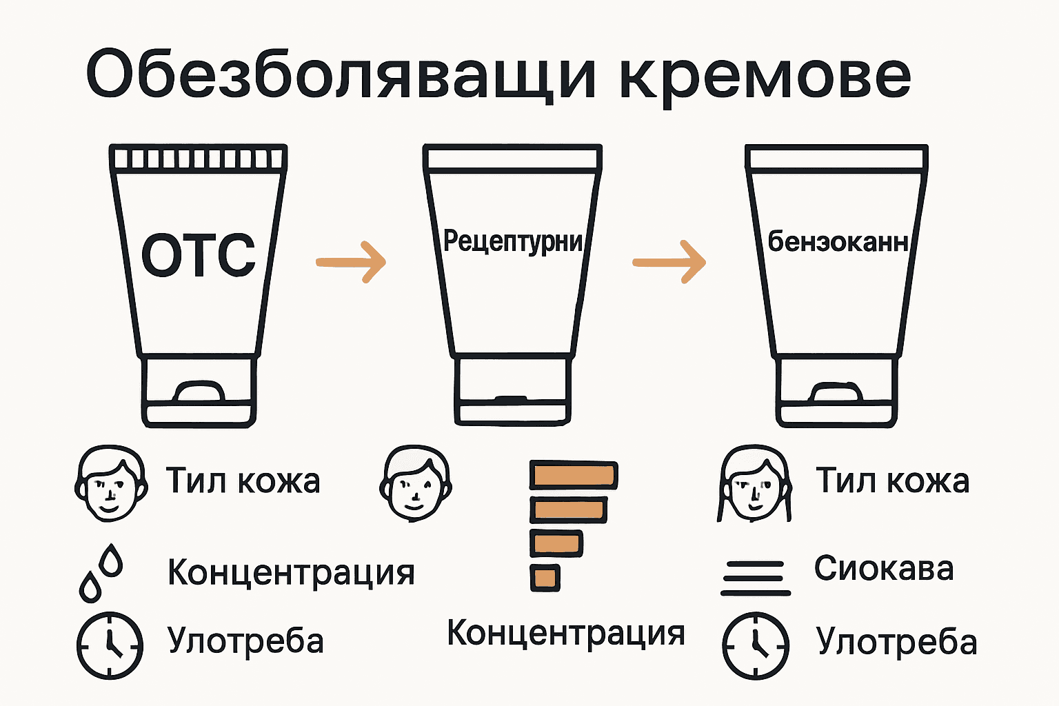 Инфографика с видове кремове за татуировки и разликите им
