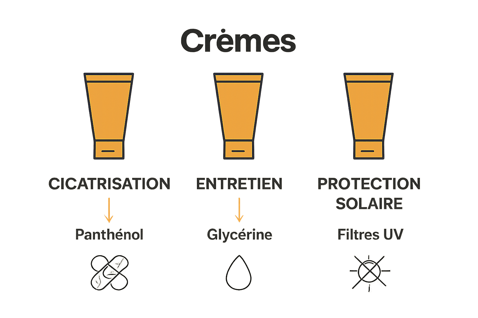 Infographie des types de crèmes pour tatouage et leurs fonctions