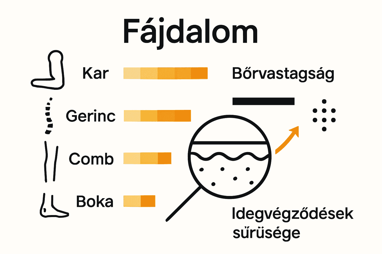 Testrészek fájdalmának és bőrének infografika