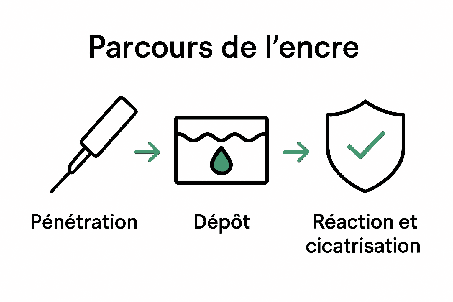 Diagramme illustrant la trajectoire de l’encre du tatouage dans la peau