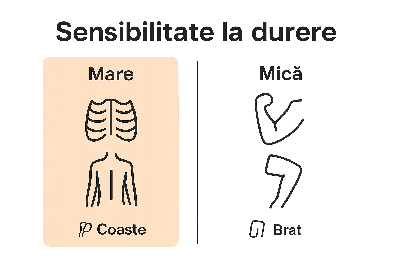 Infografic cu zonele sensibile și rezistente la durerea tatuajului