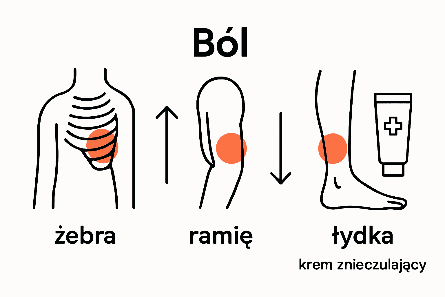 Diagram porównujący ból w różnych miejscach przy tatuowaniu