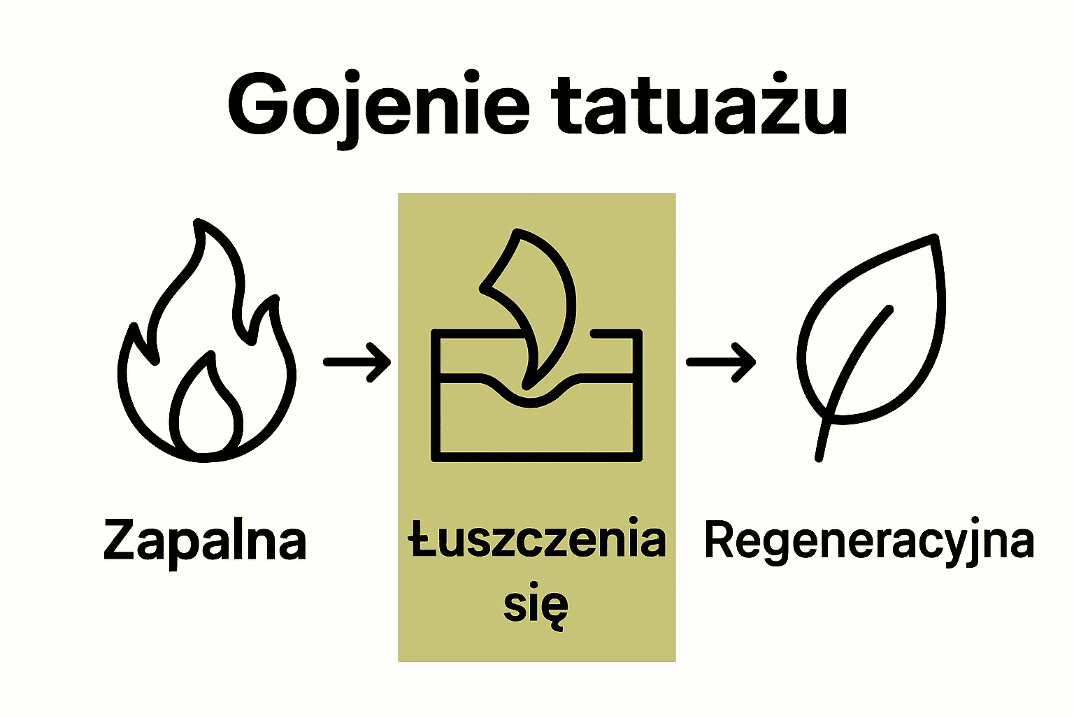 Infografika procesu gojenia tatuażu: zapalenie, łuszczenie, regeneracja.