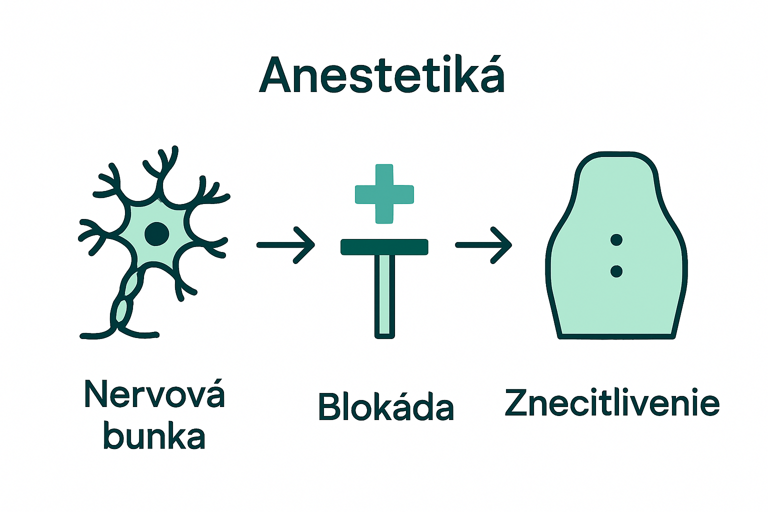 Infographic showing how amide anesthetics block nerves