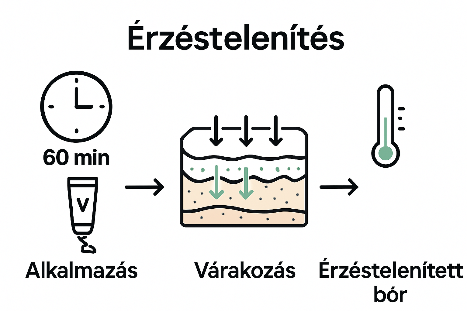 Infographic of numbing cream absorption steps