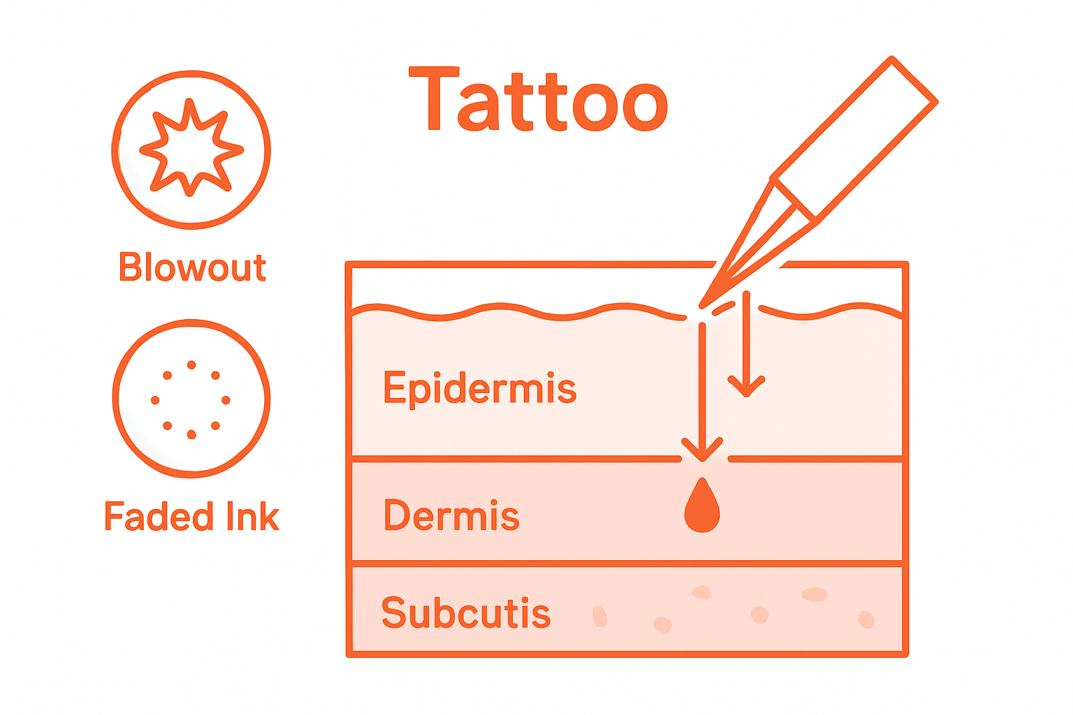 Infographic comparing skin layers for tattoos