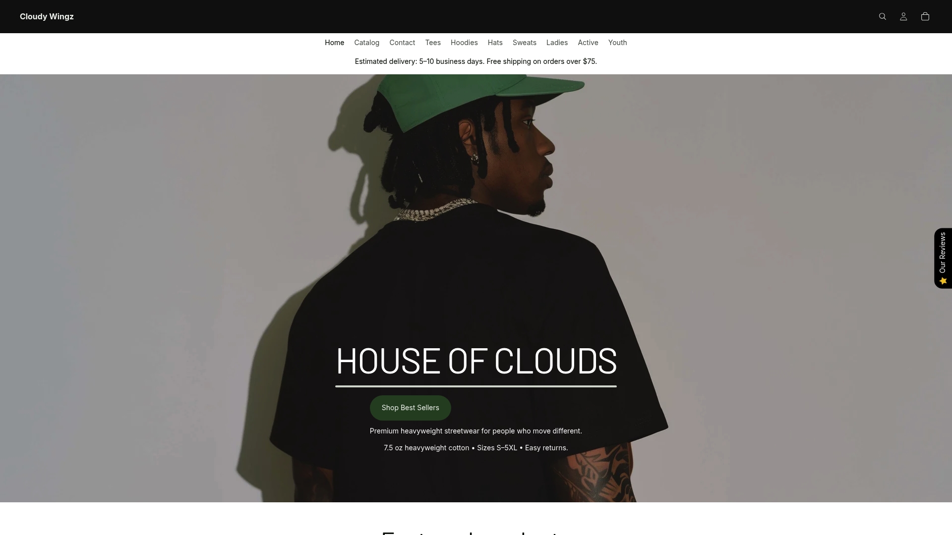 Cloudywingz