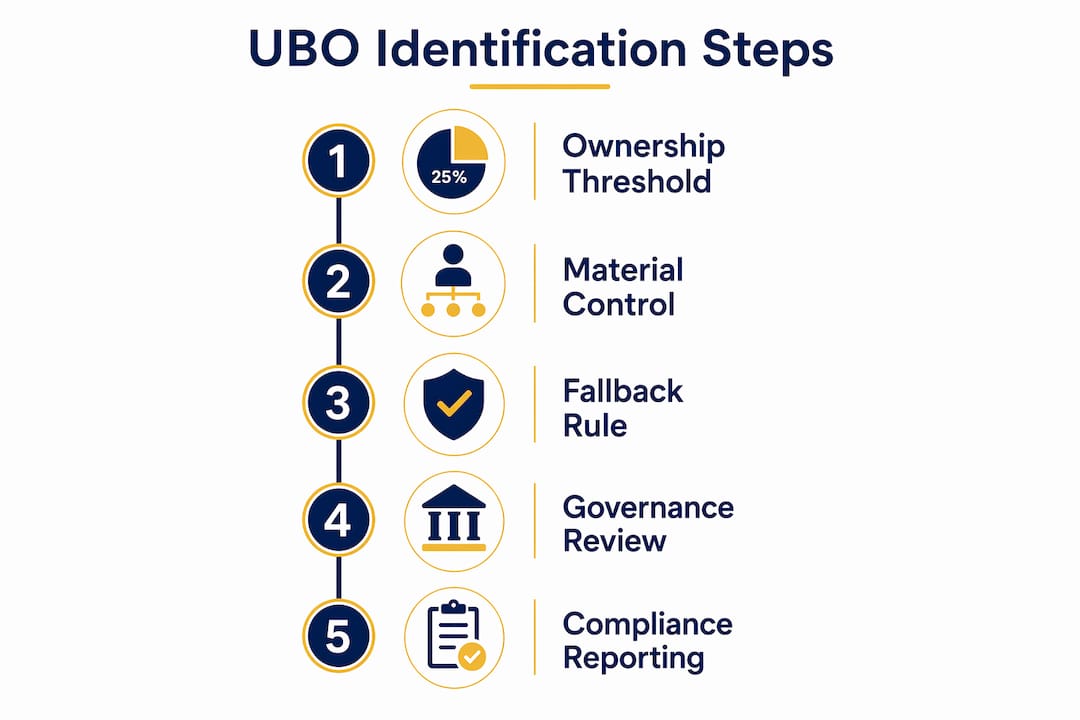 Infographic illustrating UBO identification steps
