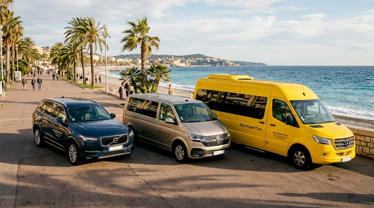 Variety of private transfer vehicles parked outdoors