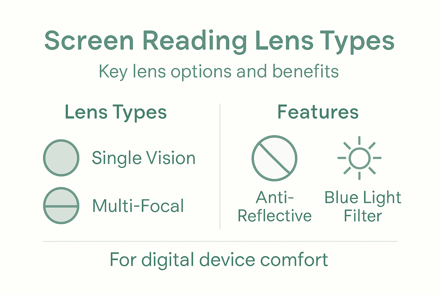 Infographic overview of lens types and features