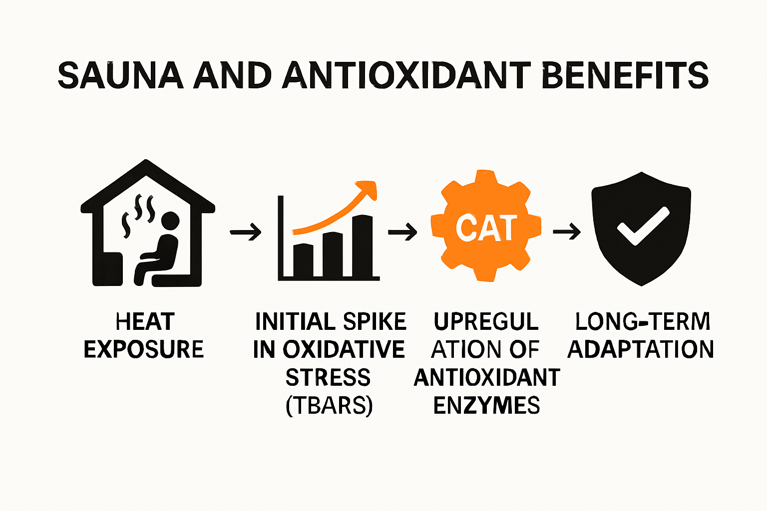 Infographic showing sauna’s impact on body’s antioxidant processes