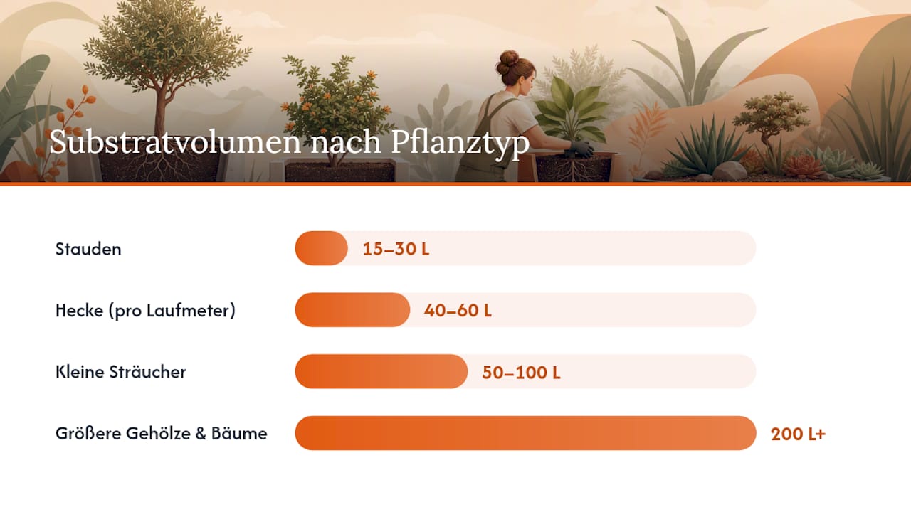 Übersicht zu Substrat- und Wasserbedarf von Pflanzen in Pflanztros