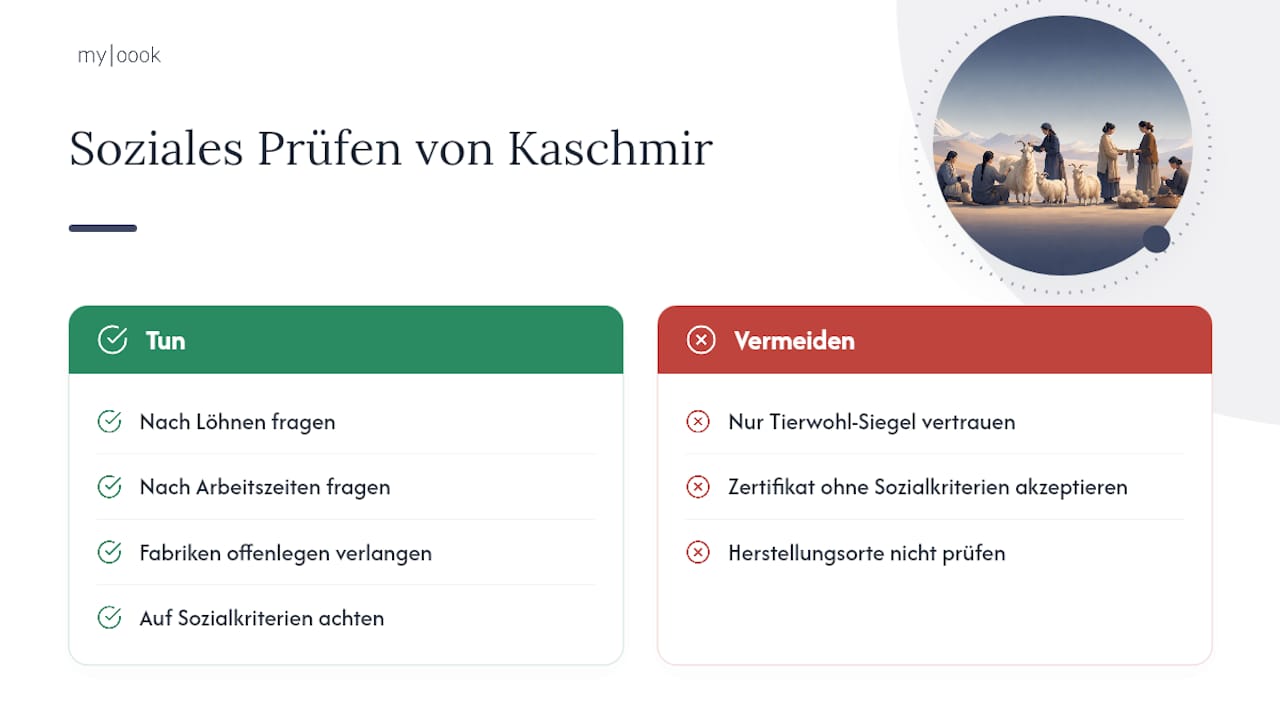 Wie sozial ist die Kaschmirproduktion für die Menschen dahinter? — overview diagram