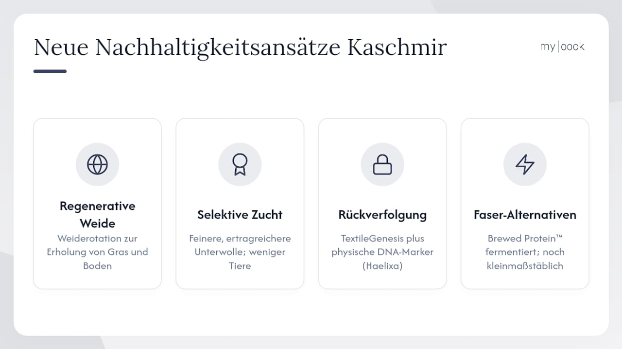 Welche neuen Ansätze verbessern die Nachhaltigkeit bei Kaschmir? — overview diagram