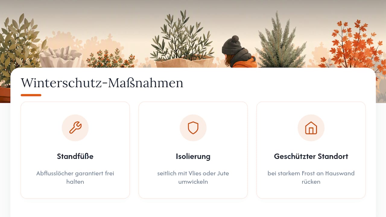 Drei Tipps zum Winterschutz für Pflanzkübel