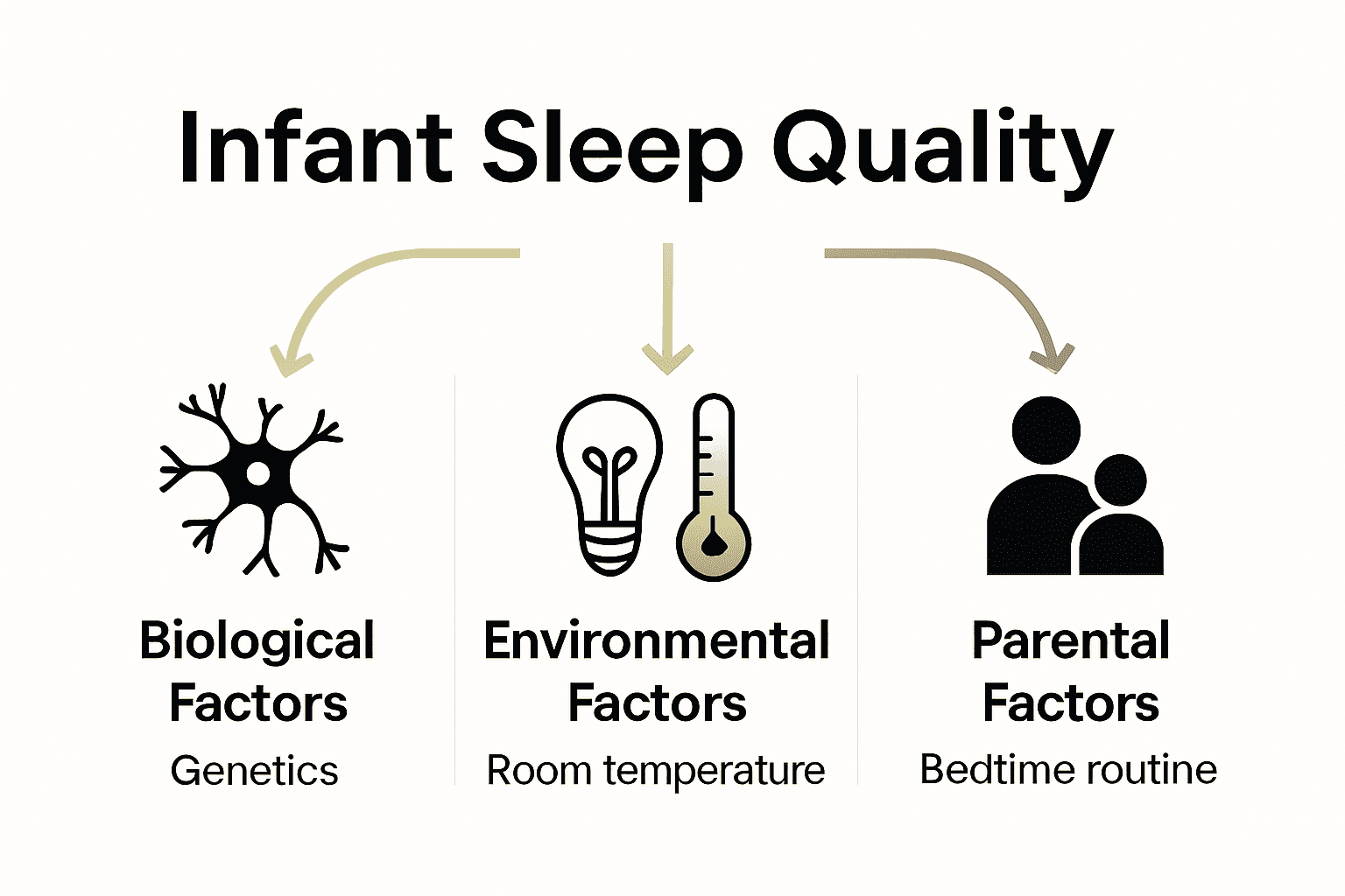 Infographic comparing biological, environmental, and parental factors affecting infant sleep