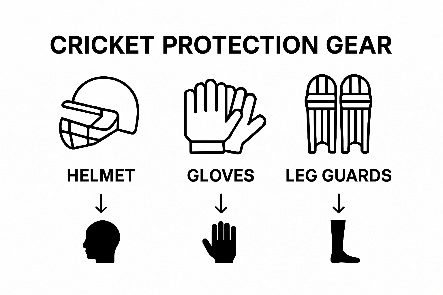 Comparison of helmet, gloves, and leg guards protection areas