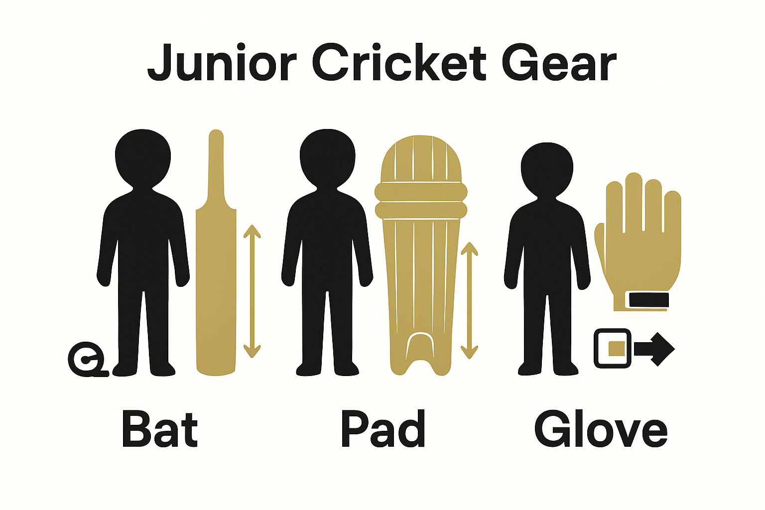 Infographic comparing junior cricket bat, pad, glove sizes
