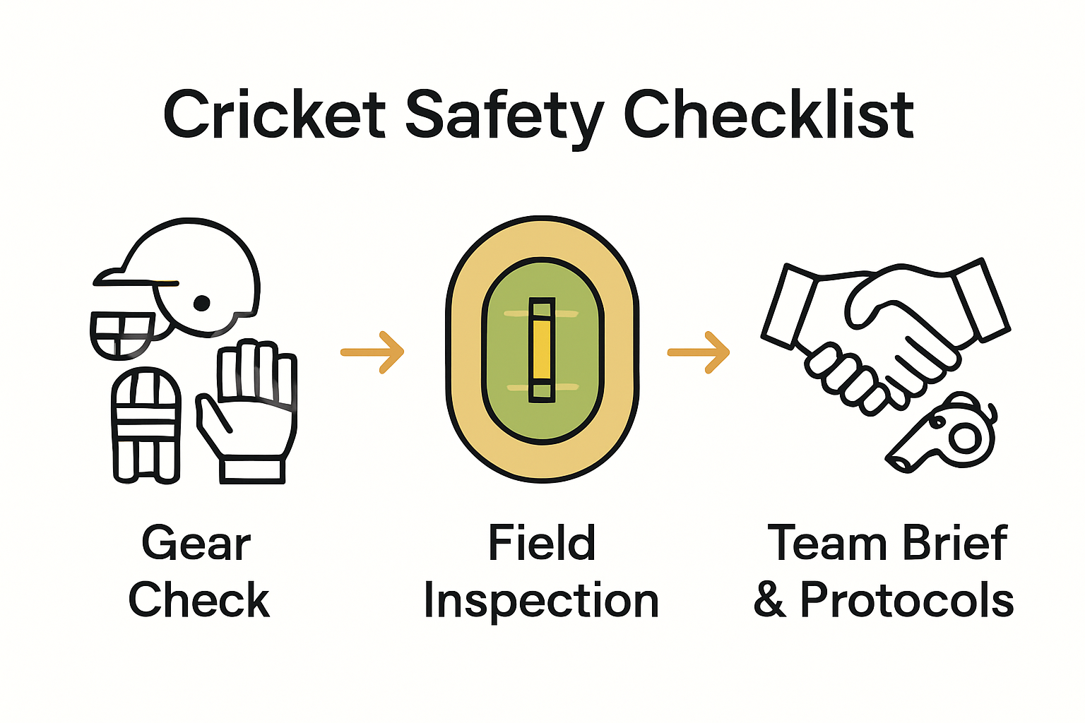 Infographic showing steps of cricket safety checklist