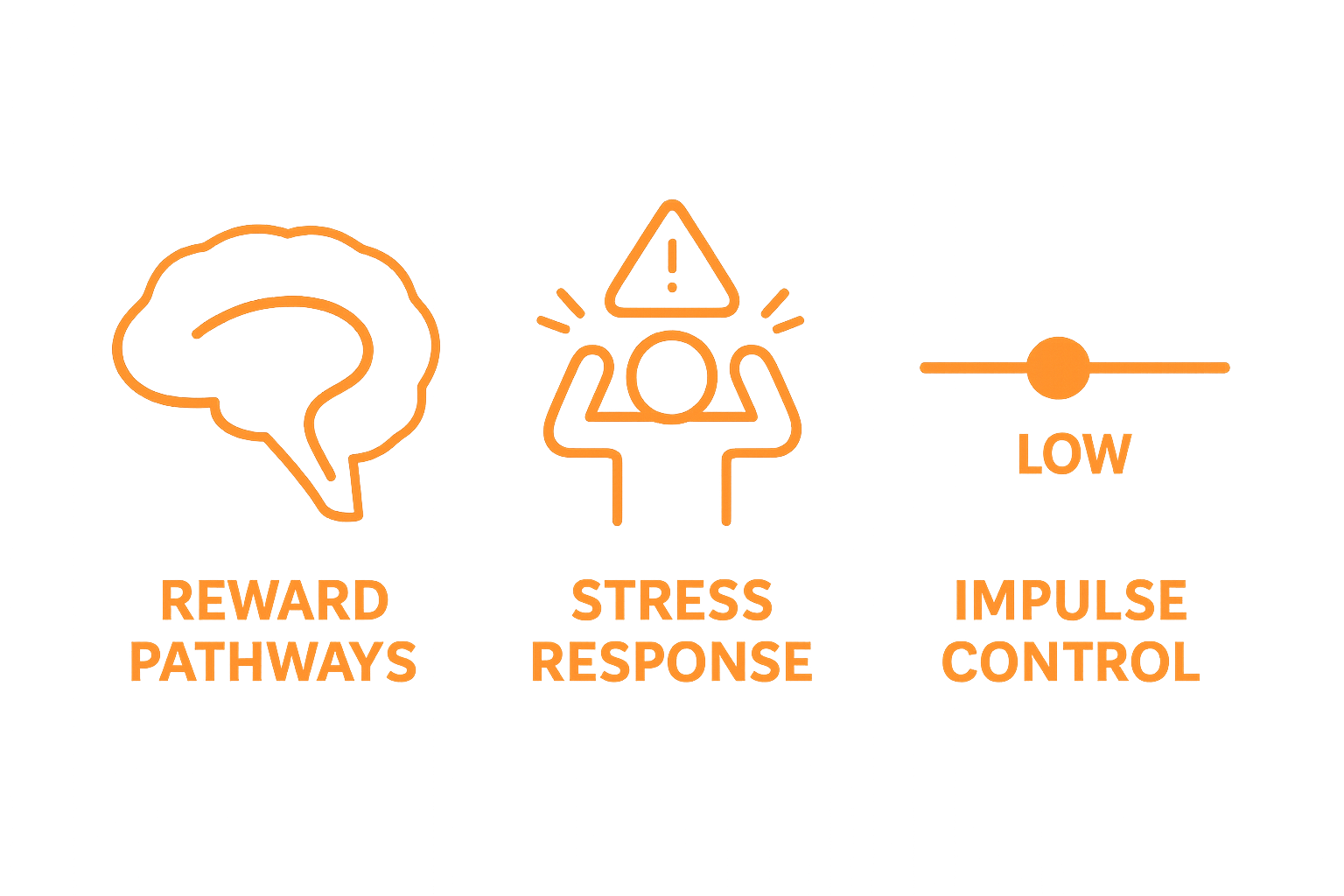 Infographic showing key brain changes linked to alcohol dependency