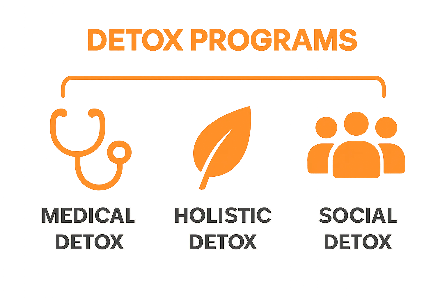 Infographic comparing medical, holistic, and social detox programs