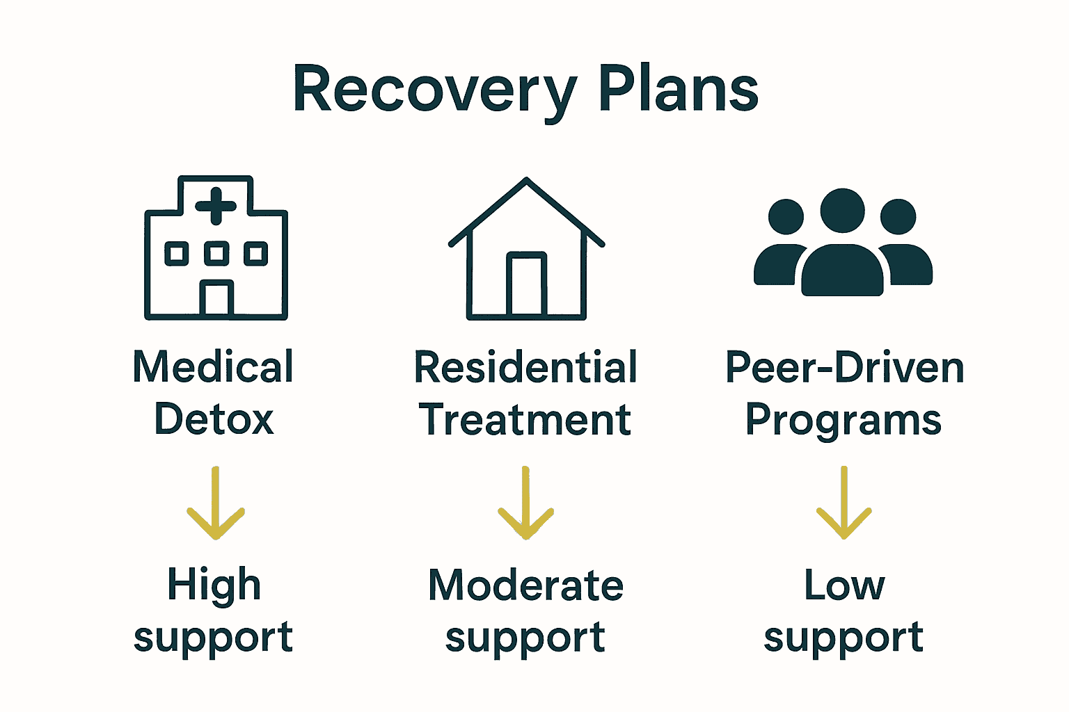 Infographic comparing recovery plan types and support levels