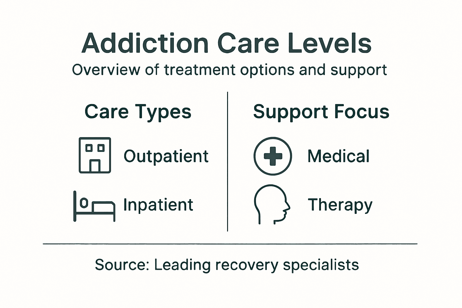 Infographic summarizing addiction care levels and support
