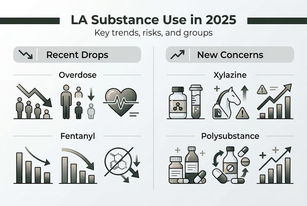 Infographic on LA substance use key trends