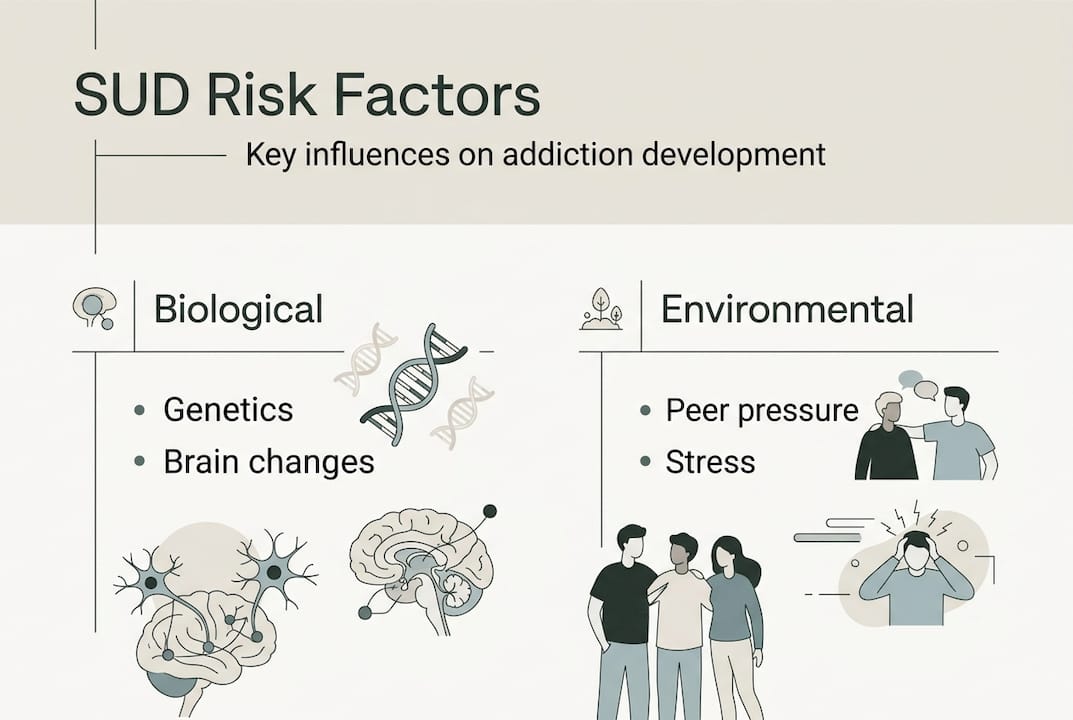Infographic overview of SUD risk factors