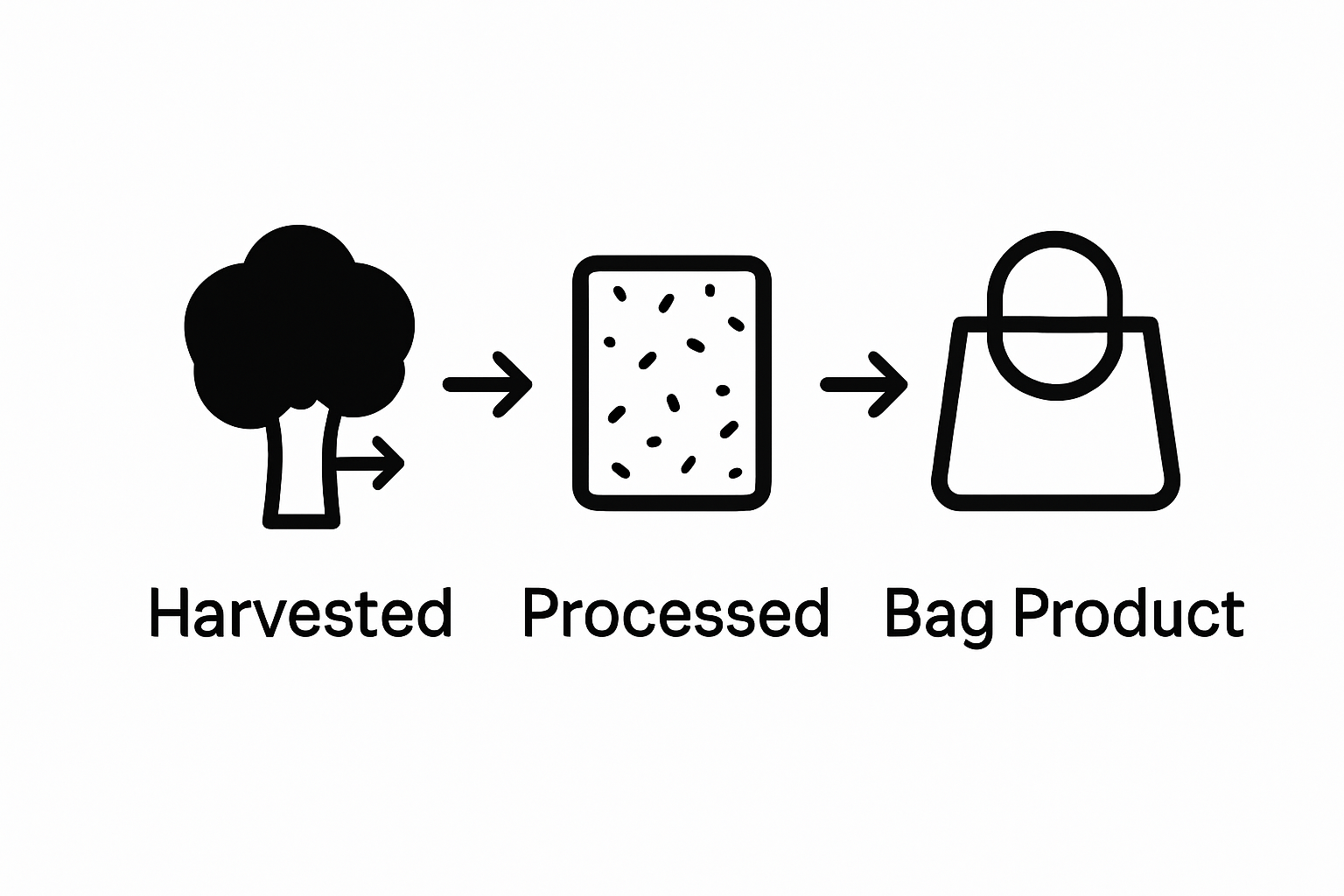 Visual flow showing cork bark harvested, processed, turned into a bag