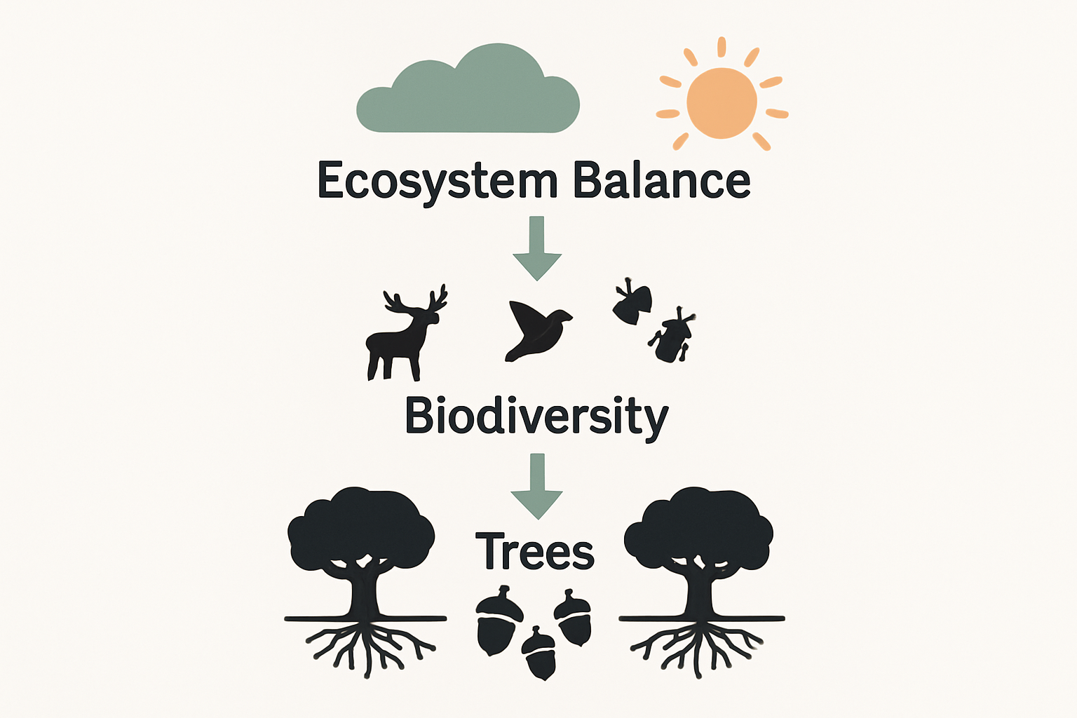 Infographic showing biodiversity layers in cork forests