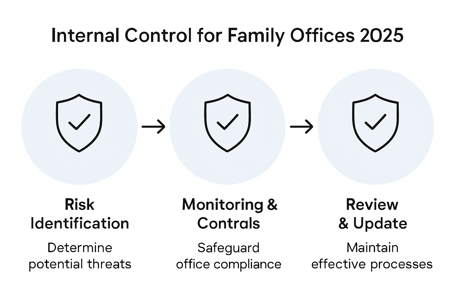 Infographic of internal control process steps
