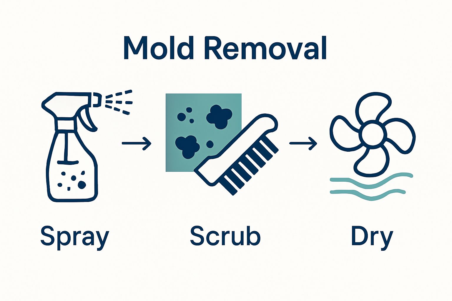 Infographic showing three steps: spray, scrub, and dry mold removal process