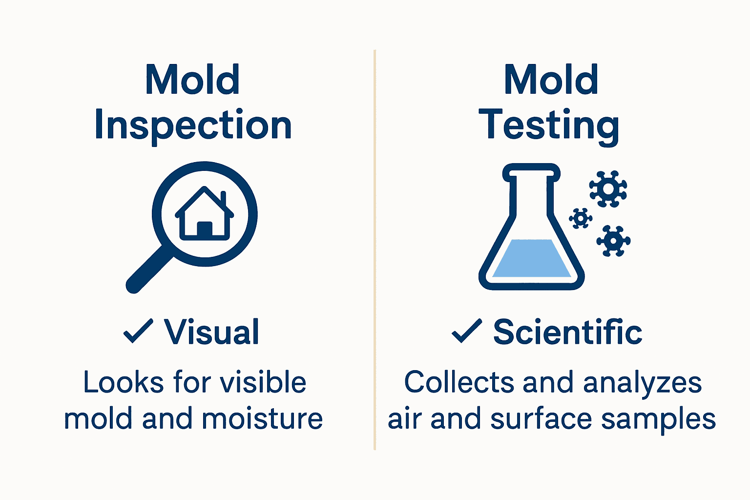 Interesting Info About Mold Inspection Greensboro Nc