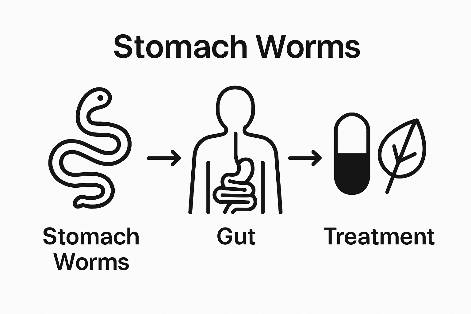 Simple infographic comparing natural and pharmaceutical stomach worm treatments