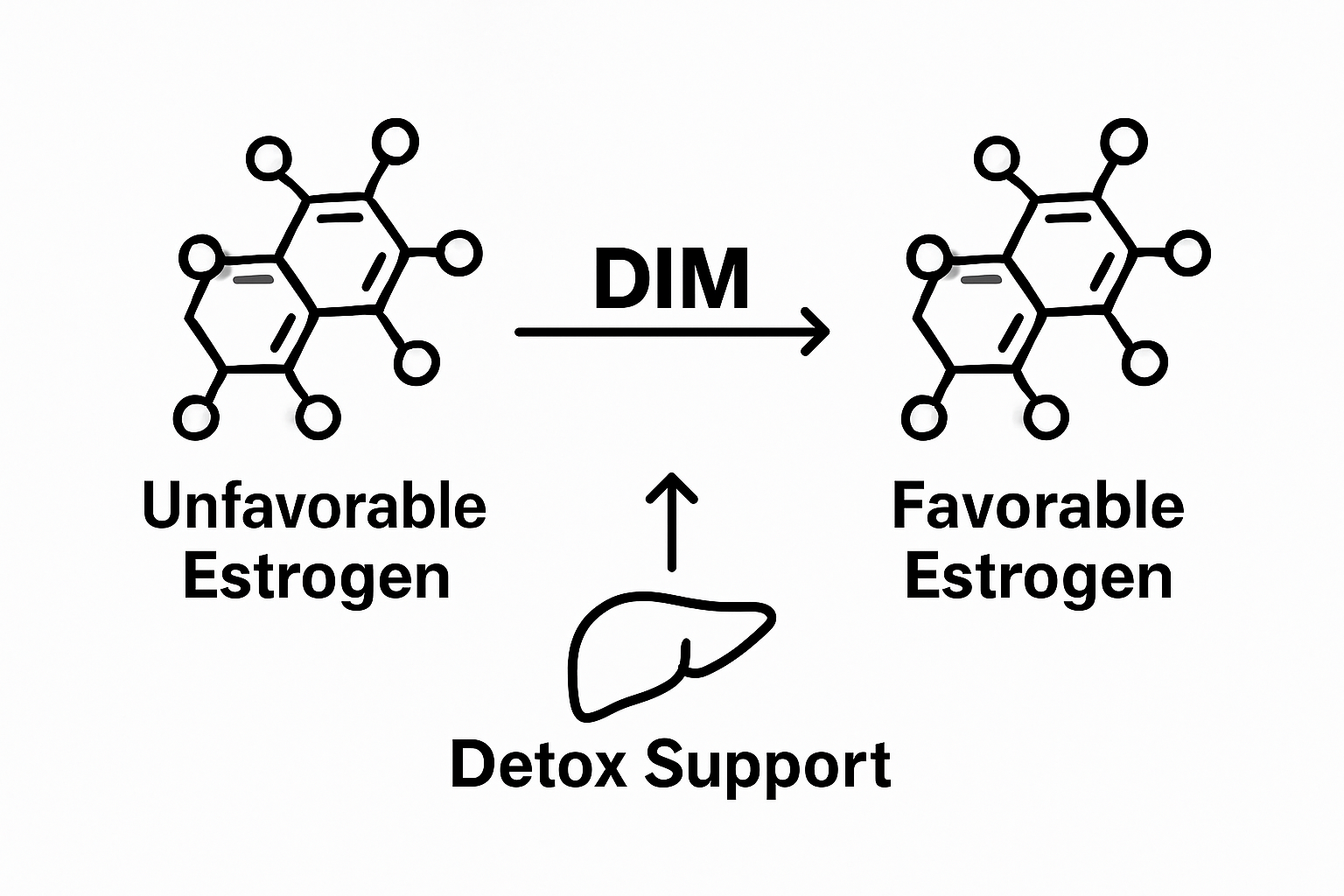 Infographic showing DIM transforming estrogen types during detoxification