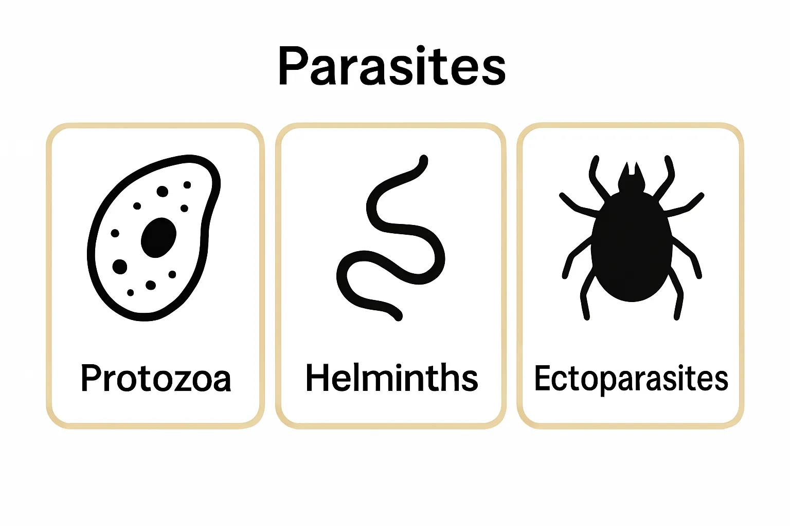 Visual breakdown of three main human parasite types