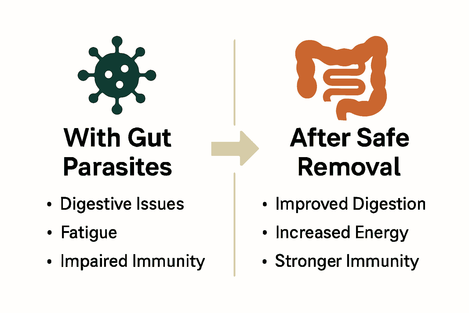Infographic comparing health with gut parasites versus after removal