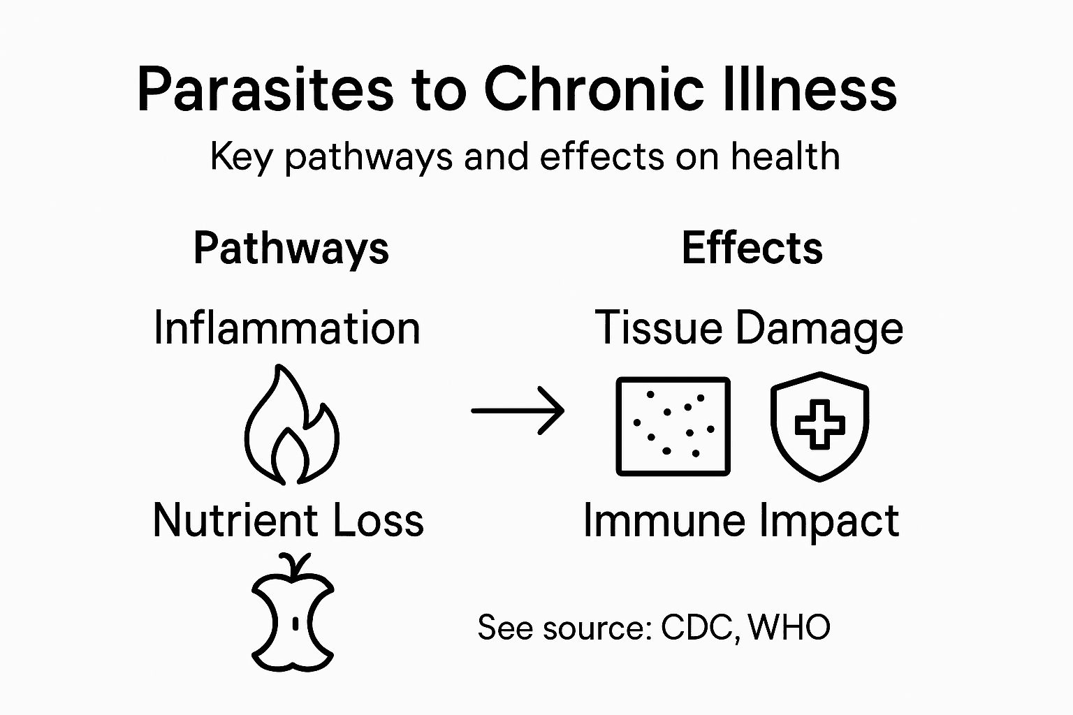 Infographic overview of parasite impact and pathways